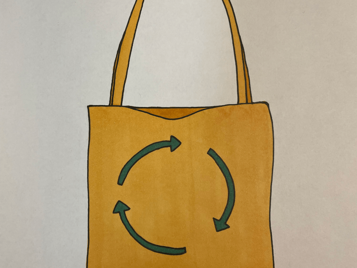 Quiz: Which Sustainable Object Are You?