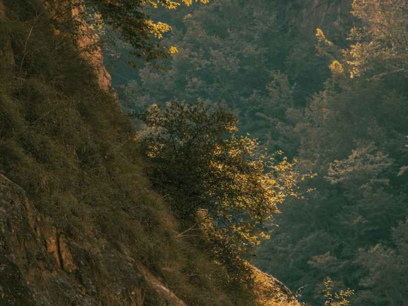 What is Climate Justice?